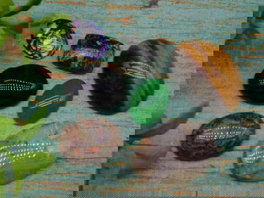 CABOCHONS ROCK STONE LAPIDARY SPECIMEN