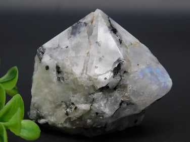 TOURMALINE IN QUARTZ ROCK STONE LAPIDARY SPECIMEN