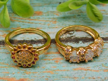 STONE RINGS ROCK STONE LAPIDARY SPECIMEN