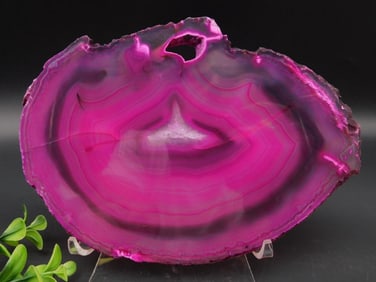 AGATE SLICE ROCK STONE LAPIDARY SPECIMEN