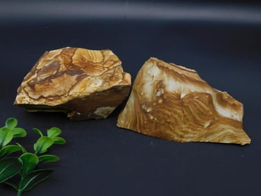 JASPER ROCK STONE LAPIDARY SPECIMEN