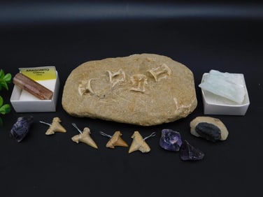 MIXED LOT ROCK STONE LAPIDARY SPECIMEN