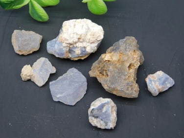 ELLENSBURG AGATE ROCK STONE LAPIDARY SPECIMEN