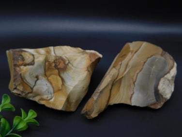 JASPER ROCK STONE LAPIDARY SPECIMEN