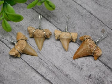 SHARK TEETH PENDANTS ROCK STONE LAPIDARY SPECIMEN