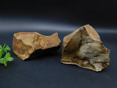 JASPER ROCK STONE LAPIDARY SPECIMEN