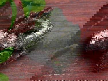 PANASQUIERA MINE PORTUGAL ROCK STONE LAPIDARY SPECIMEN