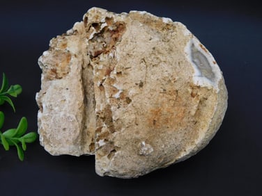 AGATE ROCK STONE LAPIDARY SPECIMEN