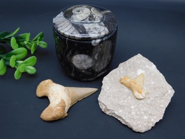 MIXED LOT ROCK STONE LAPIDARY SPECIMEN