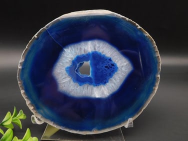 AGATE SLICE ROCK STONE LAPIDARY SPECIMEN