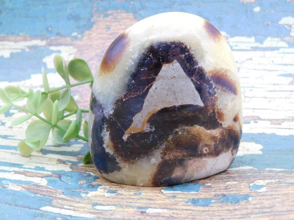 SEPTARIAN ROCK STONE LAPIDARY SPECIMEN (1 of 2)