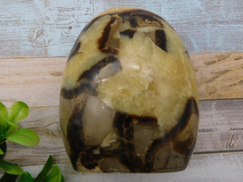 SEPTARIAN ROCK STONE LAPIDARY SPECIMEN (1 of 2)