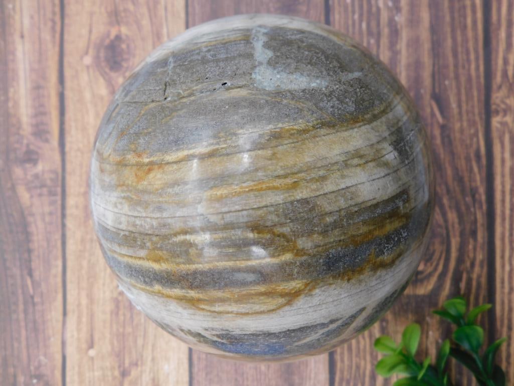 1 POUND PETRIFIED WOOD SPHERE ROCK STONE LAPIDARY SPECIMEN (1 of 2)