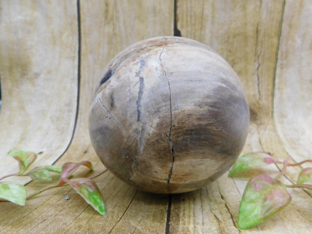 2 POUND PETRIFIED WOOD SPHERE ROCK STONE LAPIDARY SPECIMEN (1 of 4)