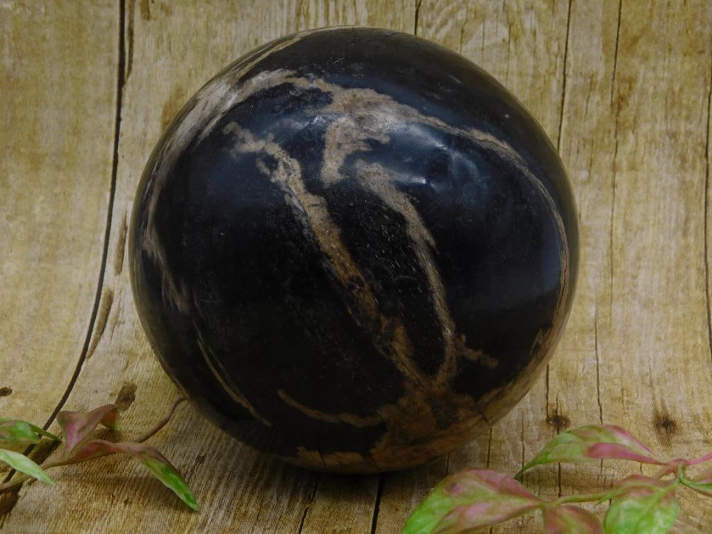 PETRIFIED WOOD SPHERE ROCK STONE LAPIDARY SPECIMEN (1 of 2)