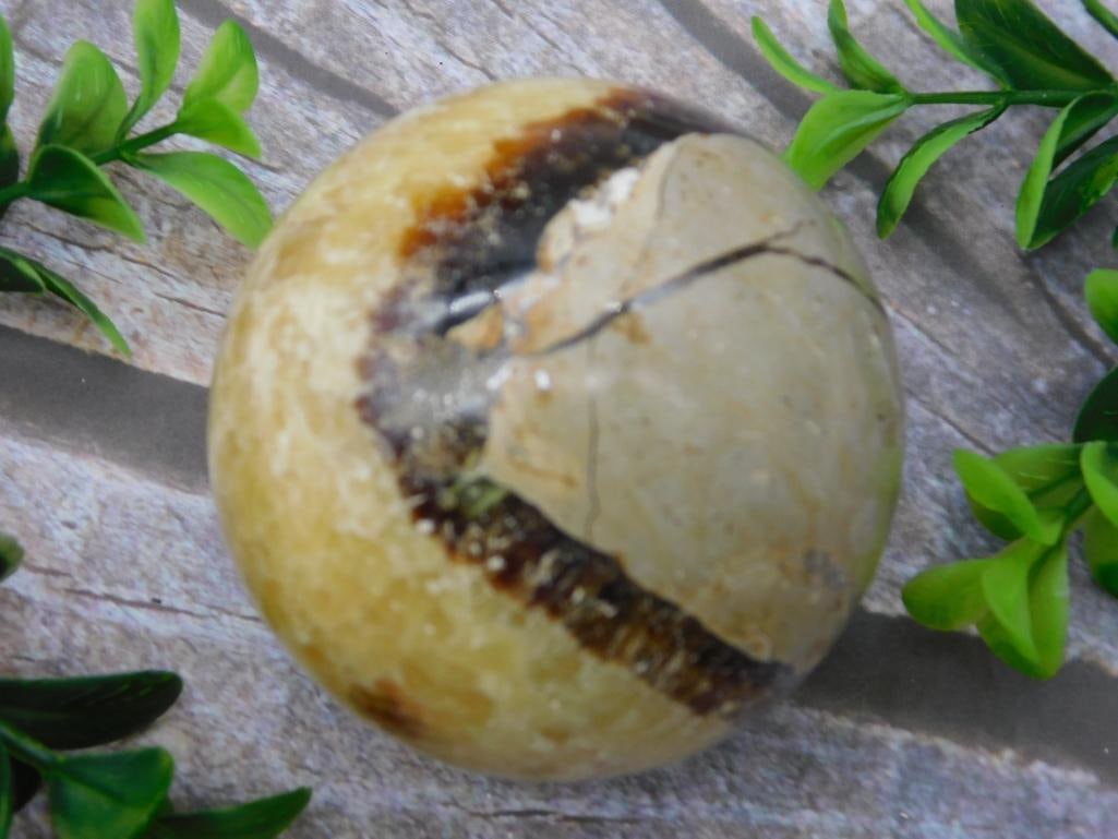 SEPTARIAN SPHERE ROCK STONE LAPIDARY SPECIMEN (1 of 2)