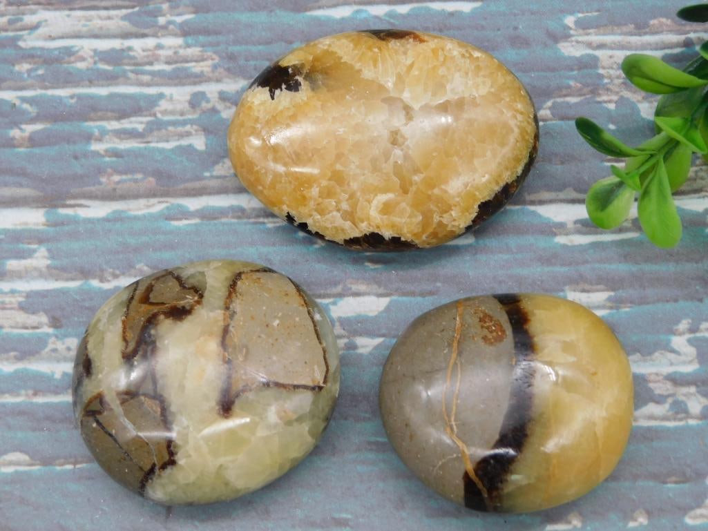 SEPTARIAN ROCK STONE LAPIDARY SPECIMEN (1 of 2)