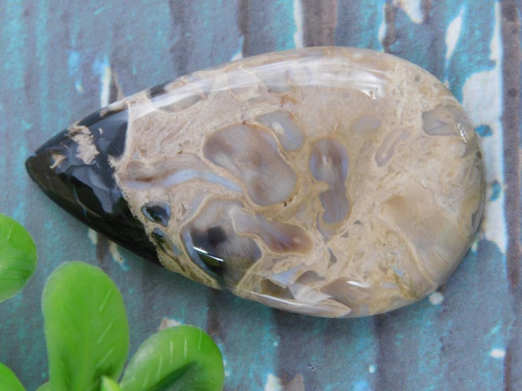 PETRIFIED PALM WOOD CABOCHON ROCK STONE LAPIDARY SPECIMEN (1 of 2)