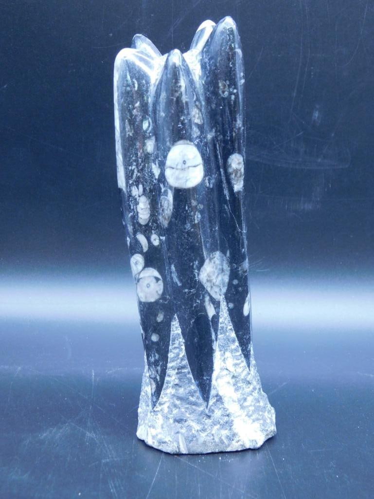 ORTHOCERAS STATUE ROCK STONE LAPIDARY SPECIMEN (1 of 2)