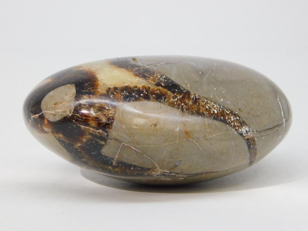 SEPTARIAN ROCK STONE LAPIDARY SPECIMEN (1 of 2)