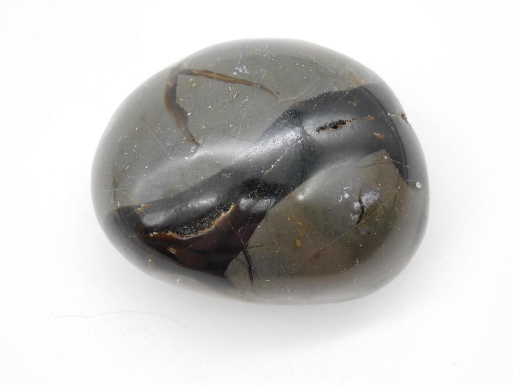 SEPTARIAN DRAGON EGG ROCK STONE LAPIDARY SPECIMEN (1 of 3)