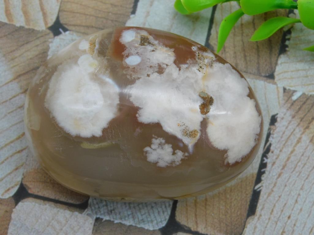 HATMANS FLOWER PETAL AGATE ROCK STONE LAPIDARY SPECIMEN (1 of 2)