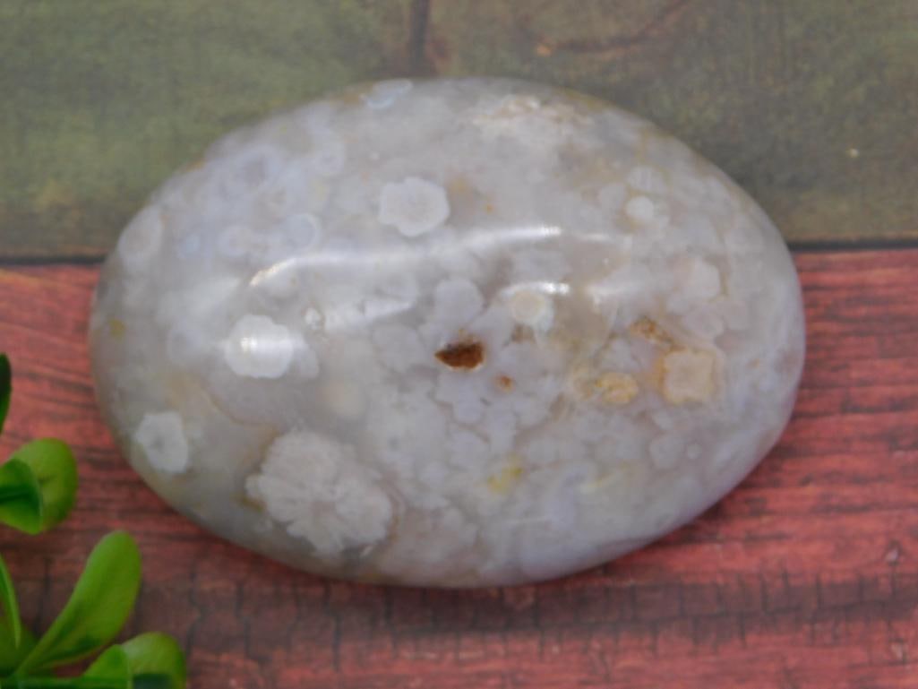 HATMANS FLOWER PETAL AGATE ROCK STONE LAPIDARY SPECIMEN (1 of 2)