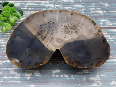 AGATE ROCK STONE LAPIDARY SPECIMEN