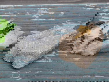 MIXED LOT ROCK STONE LAPIDARY SPECIMEN