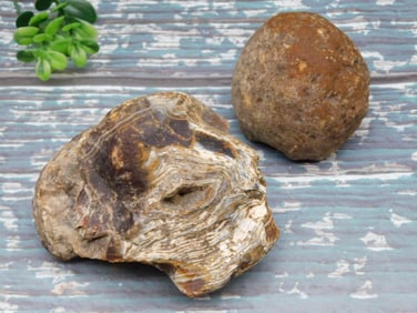 BRAZILIAN AGATES ROCK STONE LAPIDARY SPECIMEN