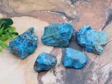 CHRYSOCOLLA ROCK STONE LAPIDARY SPECIMEN