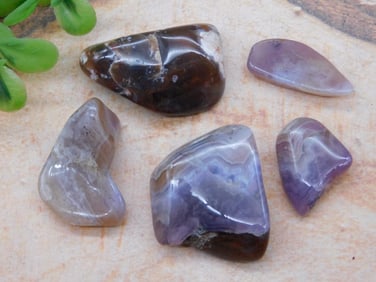 ROYAL AZTEC LACE ROCK STONE LAPIDARY SPECIMEN