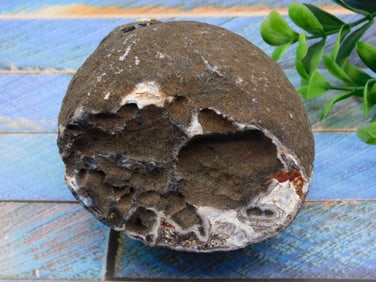 AGATE ROCK STONE LAPIDARY SPECIMEN