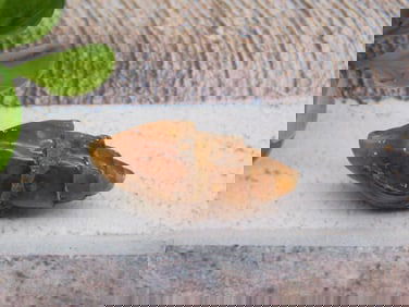 FOSSILIZED GASTROPOD ROCK STONE LAPIDARY SPECIMEN