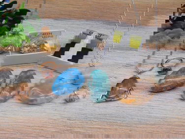 MIXED LOT ROCK STONE LAPIDARY SPECIMEN