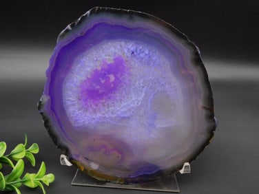 AGATE SLICE ROCK STONE LAPIDARY SPECIMEN