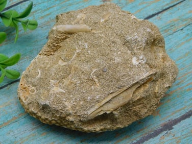 ROCK STONE LAPIDARY SPECIMEN
