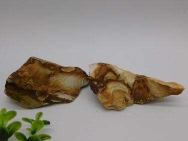 JASPER ROCK STONE LAPIDARY SPECIMEN