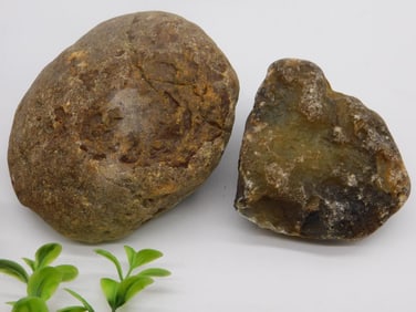 BRAZILIAN AGATE ROCK STONE LAPIDARY SPECIMEN