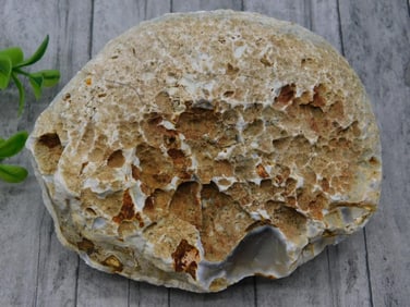 ROCK STONE LAPIDARY SPECIMEN