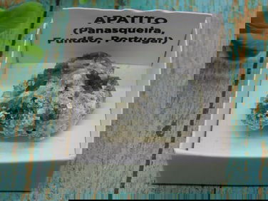 PANASQUIERA MINE PORTUGAL ROCK STONE LAPIDARY SPECIMEN