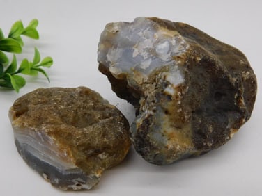 BLACK SKIN AGATE ROCK STONE LAPIDARY SPECIMEN