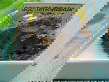 ROCK STONE LAPIDARY SPECIMEN