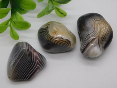 BOTSWANA AGATE ROCK STONE LAPIDARY SPECIMEN