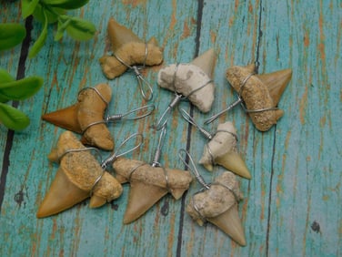 SHARK TEETH PENDANTS ROCK STONE LAPIDARY SPECIMEN