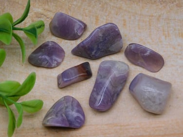 ROYAL AZTEC LACE ROCK STONE LAPIDARY SPECIMEN