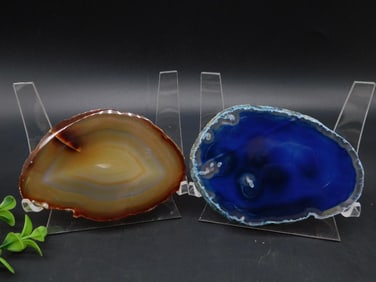 AGATE SLICES ROCK STONE LAPIDARY SPECIMEN
