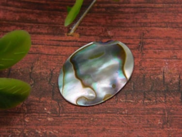 ABALONE CABOCHON ROCK STONE LAPIDARY SPECIMEN