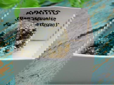 PANASQUIERA MINE PORTUGAL ROCK STONE LAPIDARY SPECIMEN