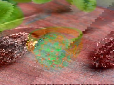 STONE RING ROCK STONE LAPIDARY SPECIMEN